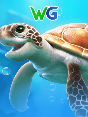 Mr Turtle